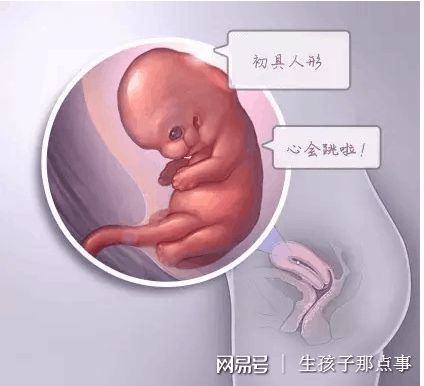 时差培养箱